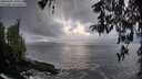 ./images/koeye/fitz-hugh/20260321/fitz-hugh20260321_195001M.jpg