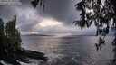 ./images/koeye/fitz-hugh/20260321/fitz-hugh20260321_195501M.jpg