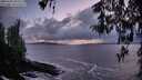 ./images/koeye/fitz-hugh/20260321/fitz-hugh20260321_200501M.jpg