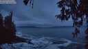 ./images/koeye/fitz-hugh/20260322/fitz-hugh20260322_065501M.jpg