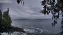 ./images/koeye/fitz-hugh/20260322/fitz-hugh20260322_073001M.jpg