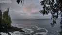 ./images/koeye/fitz-hugh/20260322/fitz-hugh20260322_073501M.jpg
