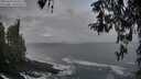 ./images/koeye/fitz-hugh/20260322/fitz-hugh20260322_075502M.jpg