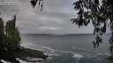 ./images/koeye/fitz-hugh/20260322/fitz-hugh20260322_080002M.jpg
