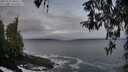 ./images/koeye/fitz-hugh/20260322/fitz-hugh20260322_080501M.jpg
