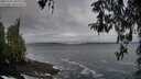 ./images/koeye/fitz-hugh/20260322/fitz-hugh20260322_081001M.jpg