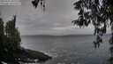 ./images/koeye/fitz-hugh/20260322/fitz-hugh20260322_082001M.jpg