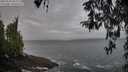./images/koeye/fitz-hugh/20260322/fitz-hugh20260322_084002M.jpg