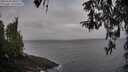 ./images/koeye/fitz-hugh/20260322/fitz-hugh20260322_085501M.jpg