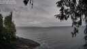 ./images/koeye/fitz-hugh/20260322/fitz-hugh20260322_090001M.jpg
