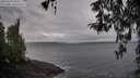 ./images/koeye/fitz-hugh/20260322/fitz-hugh20260322_090501M.jpg