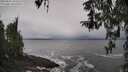 ./images/koeye/fitz-hugh/20260322/fitz-hugh20260322_104002M.jpg