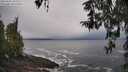 ./images/koeye/fitz-hugh/20260322/fitz-hugh20260322_104501M.jpg
