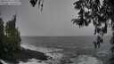 ./images/koeye/fitz-hugh/20260322/fitz-hugh20260322_113001M.jpg