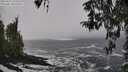 ./images/koeye/fitz-hugh/20260322/fitz-hugh20260322_130002M.jpg