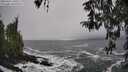 ./images/koeye/fitz-hugh/20260322/fitz-hugh20260322_130501M.jpg