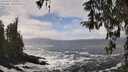 ./images/koeye/fitz-hugh/20260322/fitz-hugh20260322_132501M.jpg