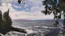 ./images/koeye/fitz-hugh/20260322/fitz-hugh20260322_133002M.jpg