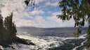 ./images/koeye/fitz-hugh/20260322/fitz-hugh20260322_133501M.jpg