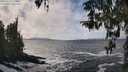 ./images/koeye/fitz-hugh/20260322/fitz-hugh20260322_134001M.jpg
