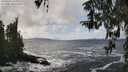 ./images/koeye/fitz-hugh/20260322/fitz-hugh20260322_135001M.jpg