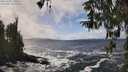 ./images/koeye/fitz-hugh/20260322/fitz-hugh20260322_135501M.jpg