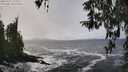 ./images/koeye/fitz-hugh/20260322/fitz-hugh20260322_140002M.jpg