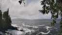 ./images/koeye/fitz-hugh/20260322/fitz-hugh20260322_141002M.jpg