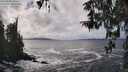 ./images/koeye/fitz-hugh/20260322/fitz-hugh20260322_143501M.jpg