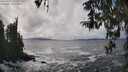 ./images/koeye/fitz-hugh/20260322/fitz-hugh20260322_144001M.jpg