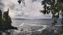 ./images/koeye/fitz-hugh/20260322/fitz-hugh20260322_144501M.jpg