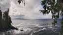 ./images/koeye/fitz-hugh/20260322/fitz-hugh20260322_145001M.jpg