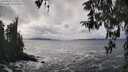 ./images/koeye/fitz-hugh/20260322/fitz-hugh20260322_145501M.jpg