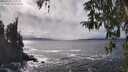 ./images/koeye/fitz-hugh/20260322/fitz-hugh20260322_151002M.jpg