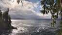 ./images/koeye/fitz-hugh/20260322/fitz-hugh20260322_152001M.jpg