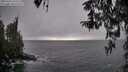 ./images/koeye/fitz-hugh/20260322/fitz-hugh20260322_165501M.jpg