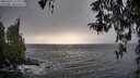 ./images/koeye/fitz-hugh/20260322/fitz-hugh20260322_172001M.jpg
