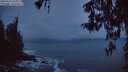 ./images/koeye/fitz-hugh/20260323/fitz-hugh20260323_065501M.jpg
