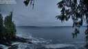 ./images/koeye/fitz-hugh/20260323/fitz-hugh20260323_071501M.jpg