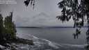 ./images/koeye/fitz-hugh/20260323/fitz-hugh20260323_074002M.jpg