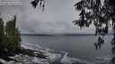 ./images/koeye/fitz-hugh/20260323/fitz-hugh20260323_074501M.jpg