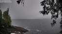 ./images/koeye/fitz-hugh/20260323/fitz-hugh20260323_094002M.jpg