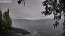 ./images/koeye/fitz-hugh/20260323/fitz-hugh20260323_103501M.jpg