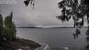 ./images/koeye/fitz-hugh/20260323/fitz-hugh20260323_105501M.jpg