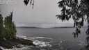 ./images/koeye/fitz-hugh/20260323/fitz-hugh20260323_134002M.jpg