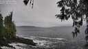 ./images/koeye/fitz-hugh/20260323/fitz-hugh20260323_135001M.jpg