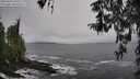 ./images/koeye/fitz-hugh/20260323/fitz-hugh20260323_135502M.jpg