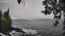 ./images/koeye/fitz-hugh/20260323/fitz-hugh20260323_140501M.jpg