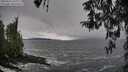 ./images/koeye/fitz-hugh/20260323/fitz-hugh20260323_142002M.jpg