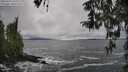 ./images/koeye/fitz-hugh/20260323/fitz-hugh20260323_151002M.jpg